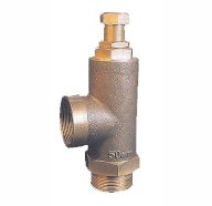Forged Steel Check Valve