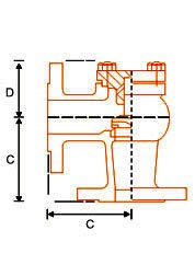 Check Valve