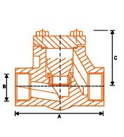 Forged Steel Check Valve