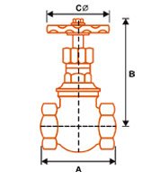 Screwed Globe Valve
