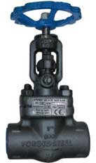 Forged Steel Globe Valve